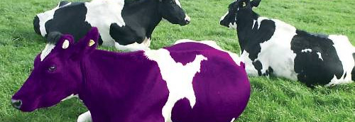 La Vache Pourpre