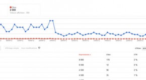 Le Pingouin a déclassé le blog et comment m’en sortir !!